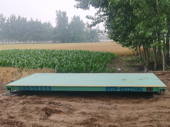 周口鹿邑縣馬鋪鎮龐王莊糧食收購站20噸地磅